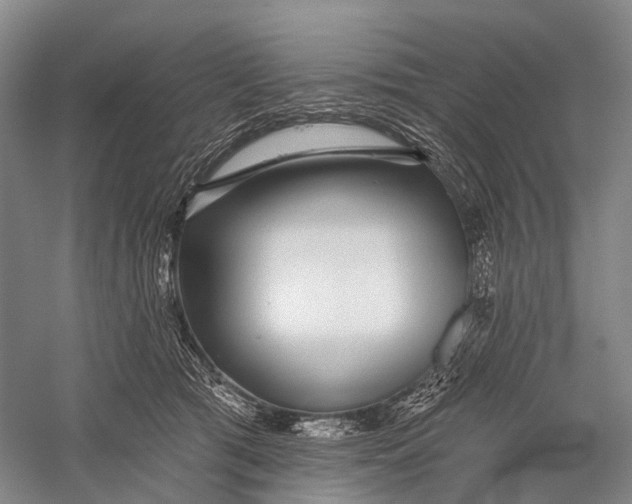 X0000056310417200509231925