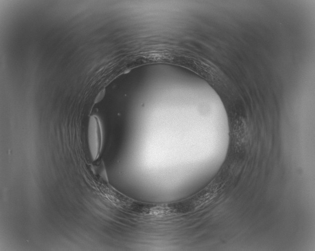 X0000056310420200509231925