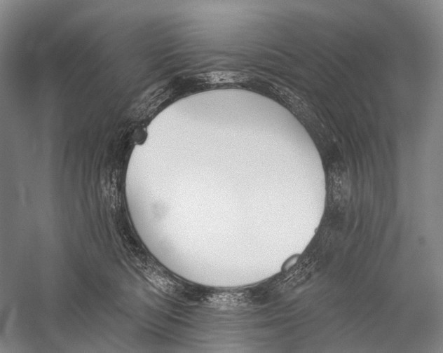 X0000056310422200509231925