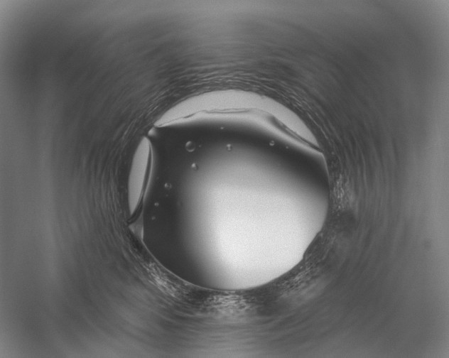 X0000056310424200509231925