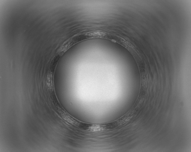 X0000056310425200509231925