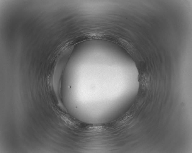X0000056310428200509231925