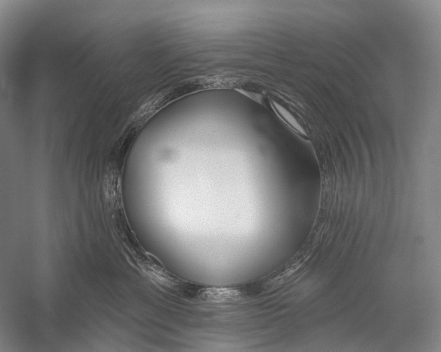 X0000056310429200509231925