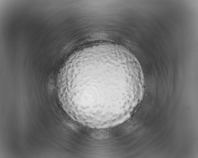 X0000056310431200509231925
