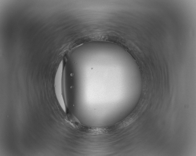 X0000056310432200509231925