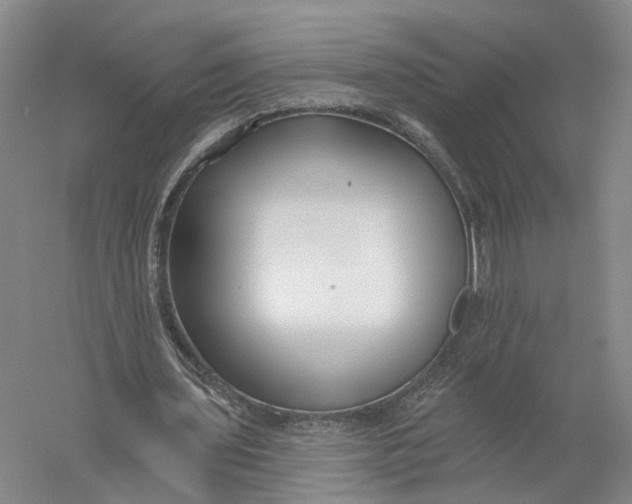 X0000056310435200509231924