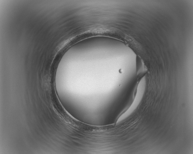 X0000056310440200509231924