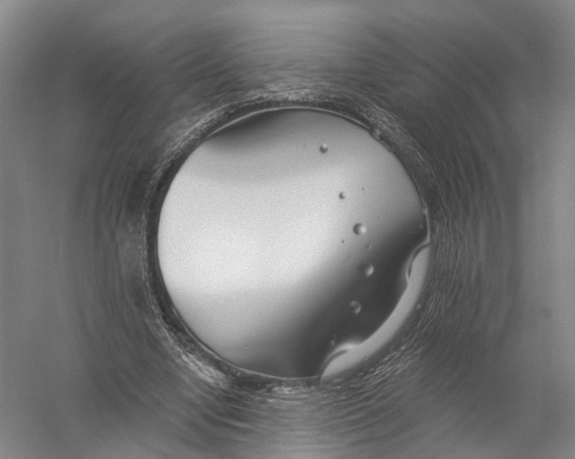X0000056310442200509231924