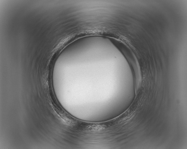 X0000056310443200509231925
