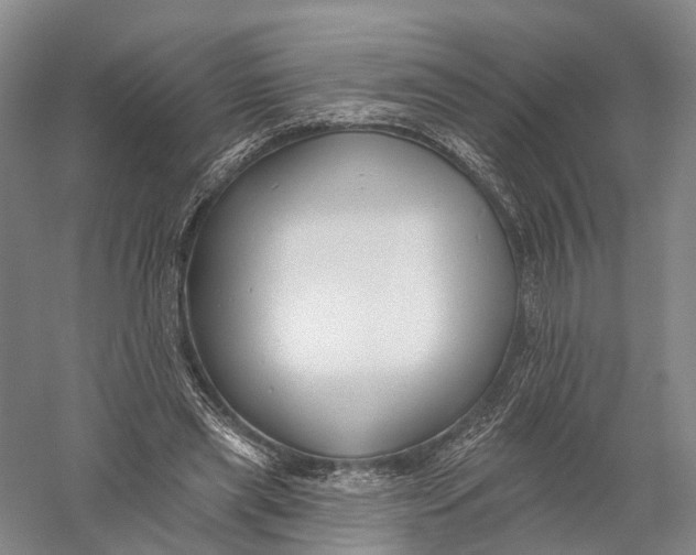 X0000056310445200509231925