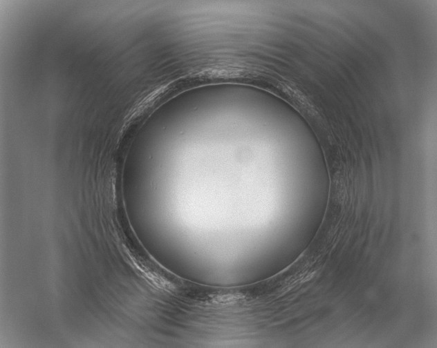 X0000056310446200509231925