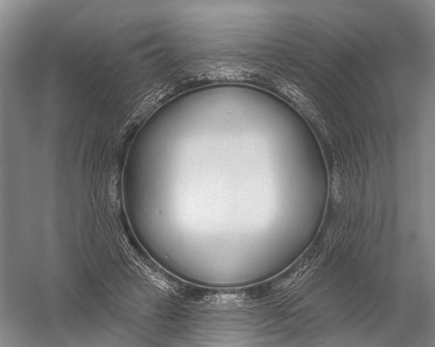 X0000056310449200509231925