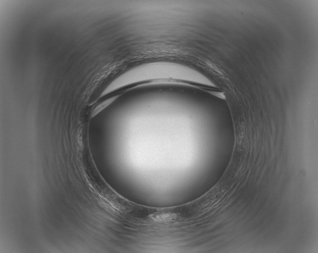 X0000056310452200509231925