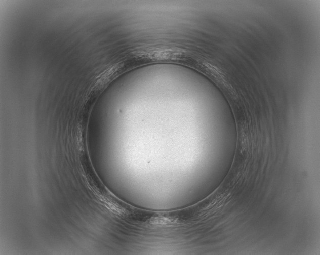 X0000056310453200509231925