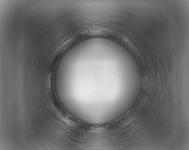 X0000056310454200509231925