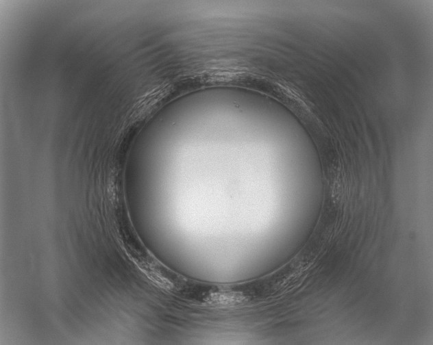 X0000056310455200509231925
