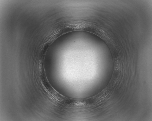 X0000056310456200509231925