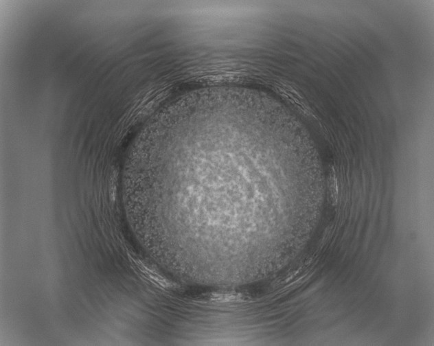 X0000056310458200509231925