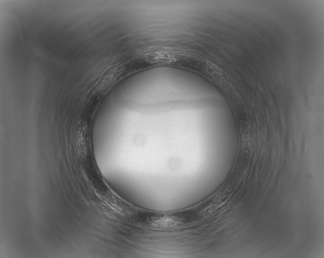 X0000056310460200509231925