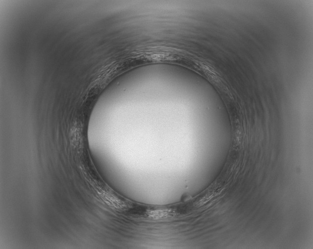 X0000056310461200509231925