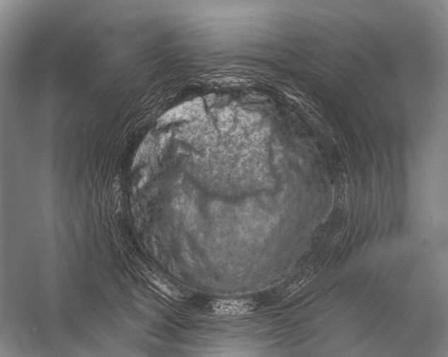 X0000056310465200509231925