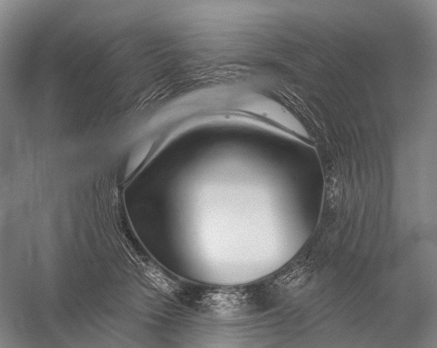 X0000056310466200509231925