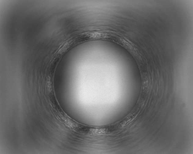 X0000056310469200509231925