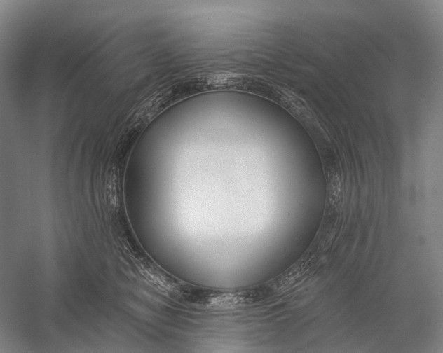 X0000056310470200509231925
