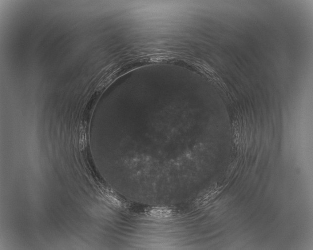 X0000056310471200509231925