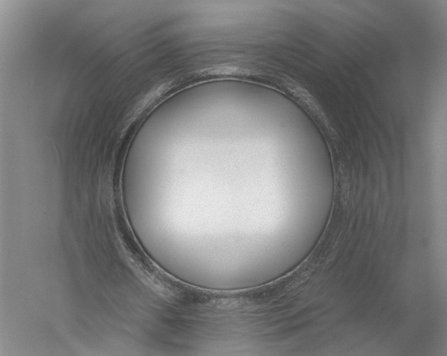 X0000056310482200509231924