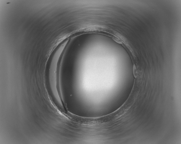 X0000056310485200509231924