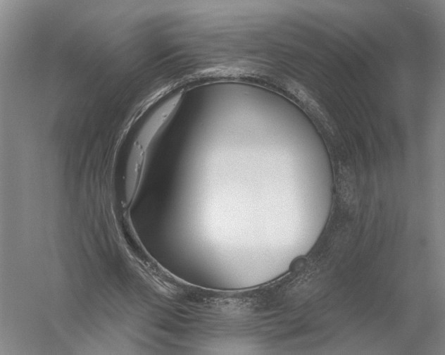 X0000056310486200509231924