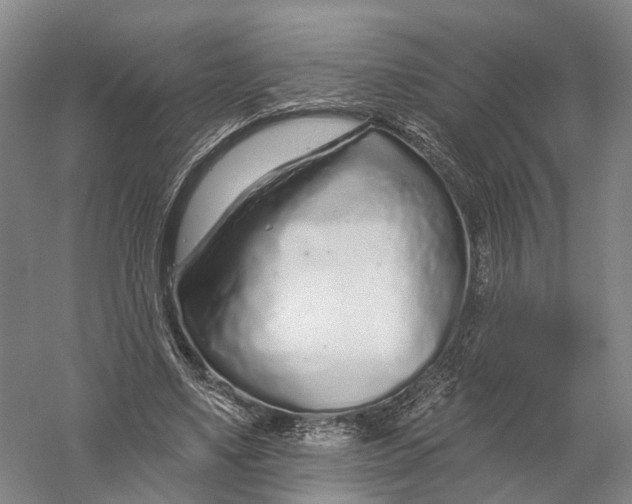 X0000056310491200509231924