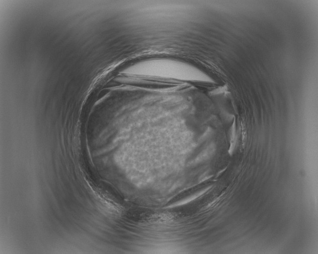 X0000056310492200509231924