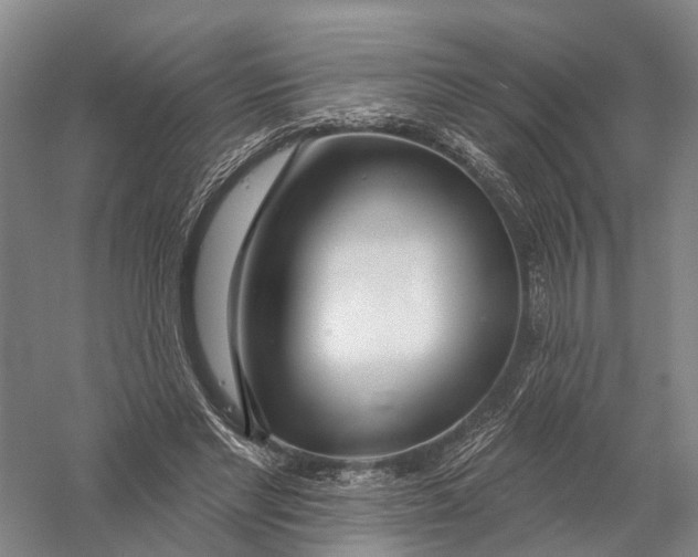 X0000056310493200509231924
