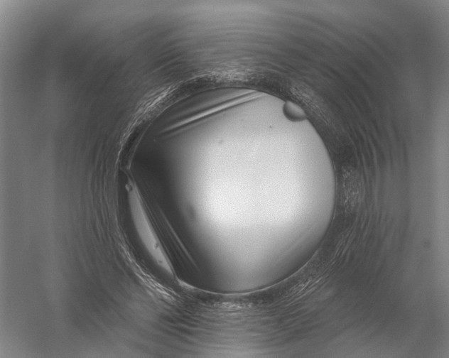 X0000056310494200509231924