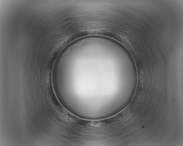 X0000056310495200509231924