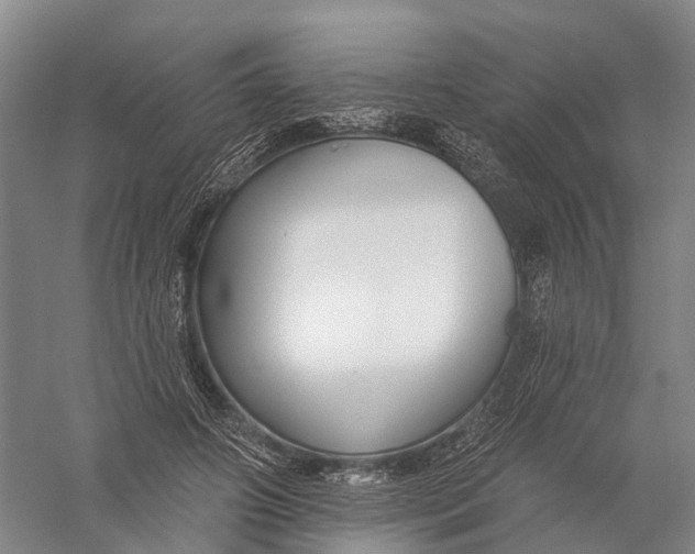 X0000056310498200509231924