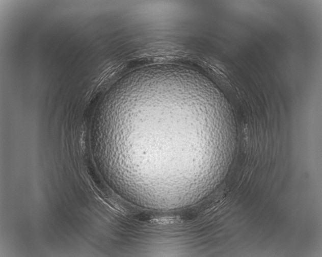 X0000056310499200509231924