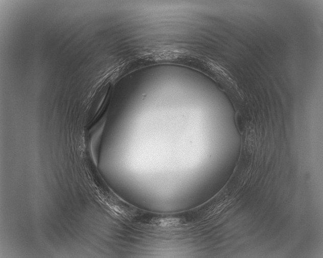 X0000056310501200509231924