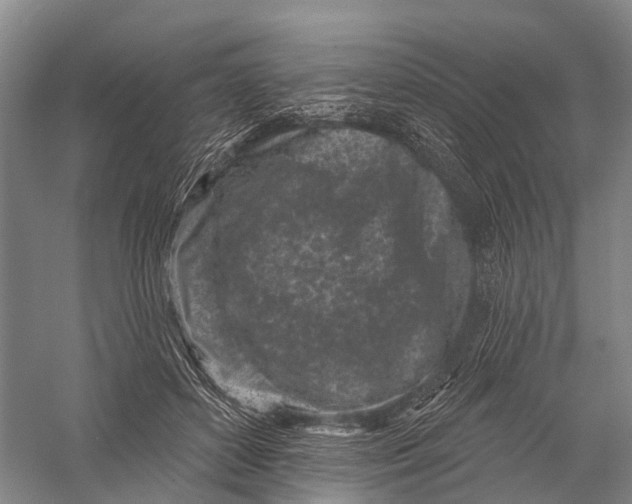 X0000056310504200509231924