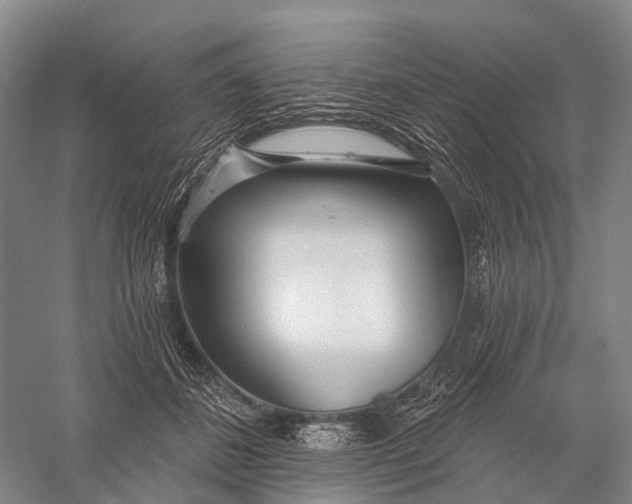 X0000056310508200509231924