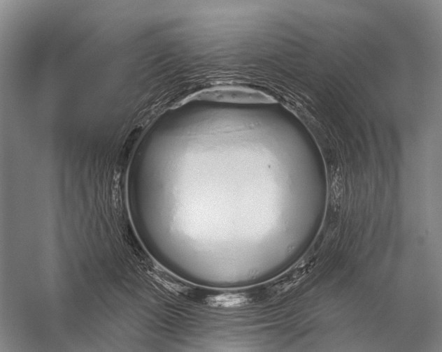 X0000056310511200509231924