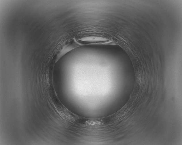 X0000056310512200509231924