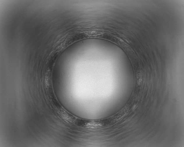 X0000056310515200509231924