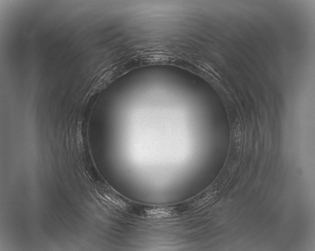 X0000056310516200509231924