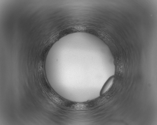 X0000056310518200509231924
