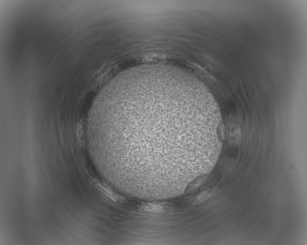 X0000056310523200509231924