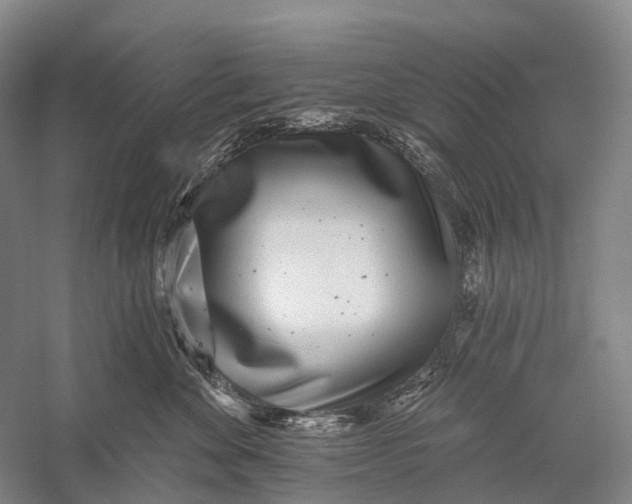 X0000056310524200509231924