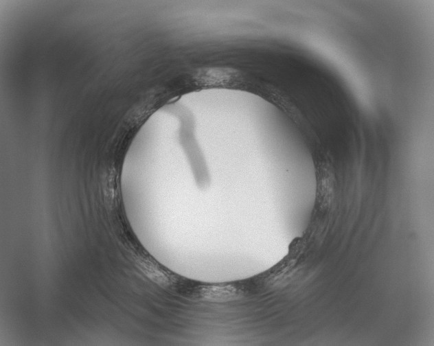 X0000056310525200509231924